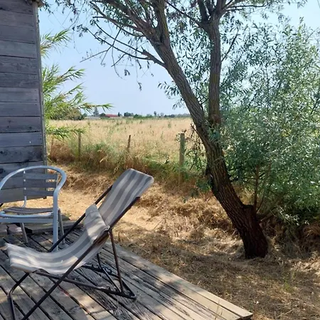 Dans Propriete Kamp alanı *
